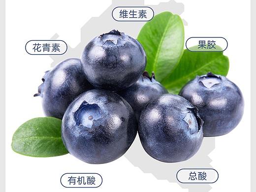 蓝莓详情（个人主页-ZNTcwOTQwNDA=） - 电商 - 站酷设计师Jessi_L原创素材 - 站酷ZCOOL