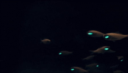 wdrbc的个人主页（封面预览） - 主页封面设置 - 站酷设计师wdrbc原创素材 - 站酷ZCOOL