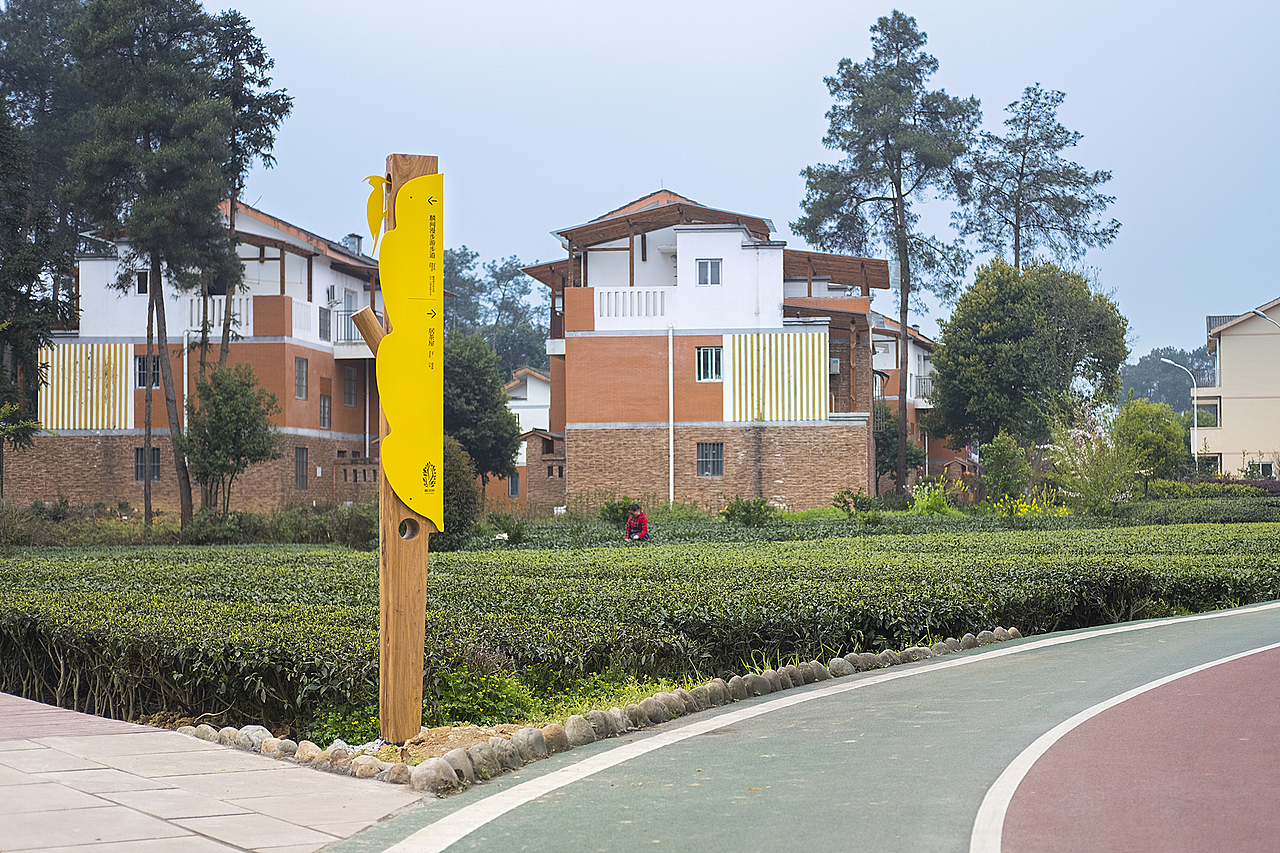 我为村里做设计