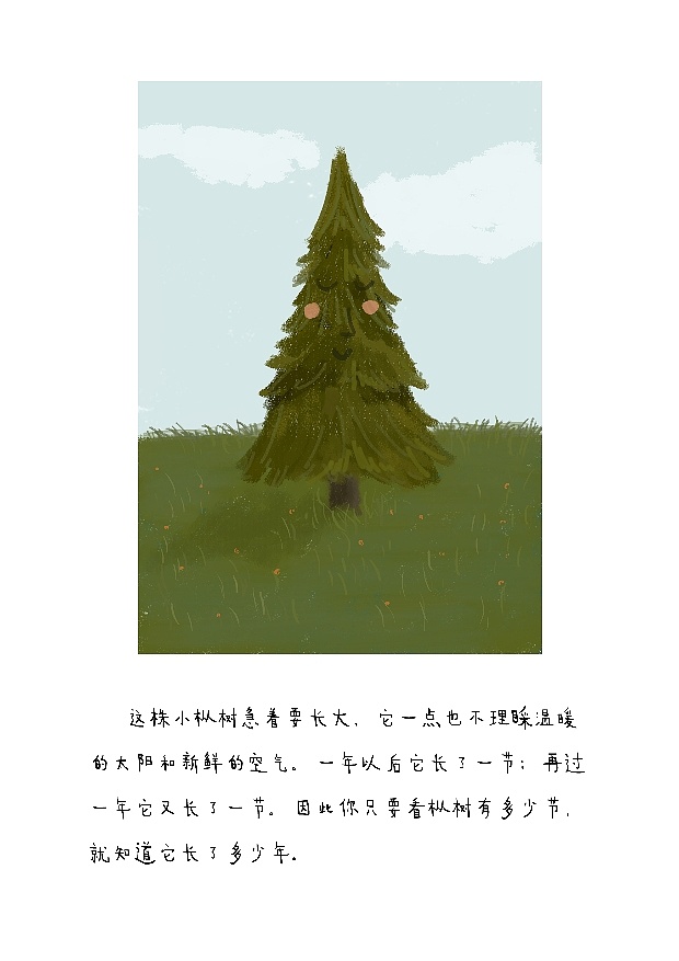 故事绘本枞树