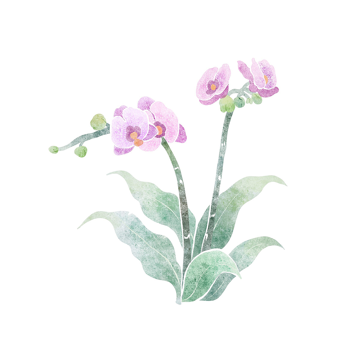 爱之花语（图ZMjM0MTk1NjA0） - 艺术插画 - 站酷设计师山里小七原创素材 - 站酷ZCOOL