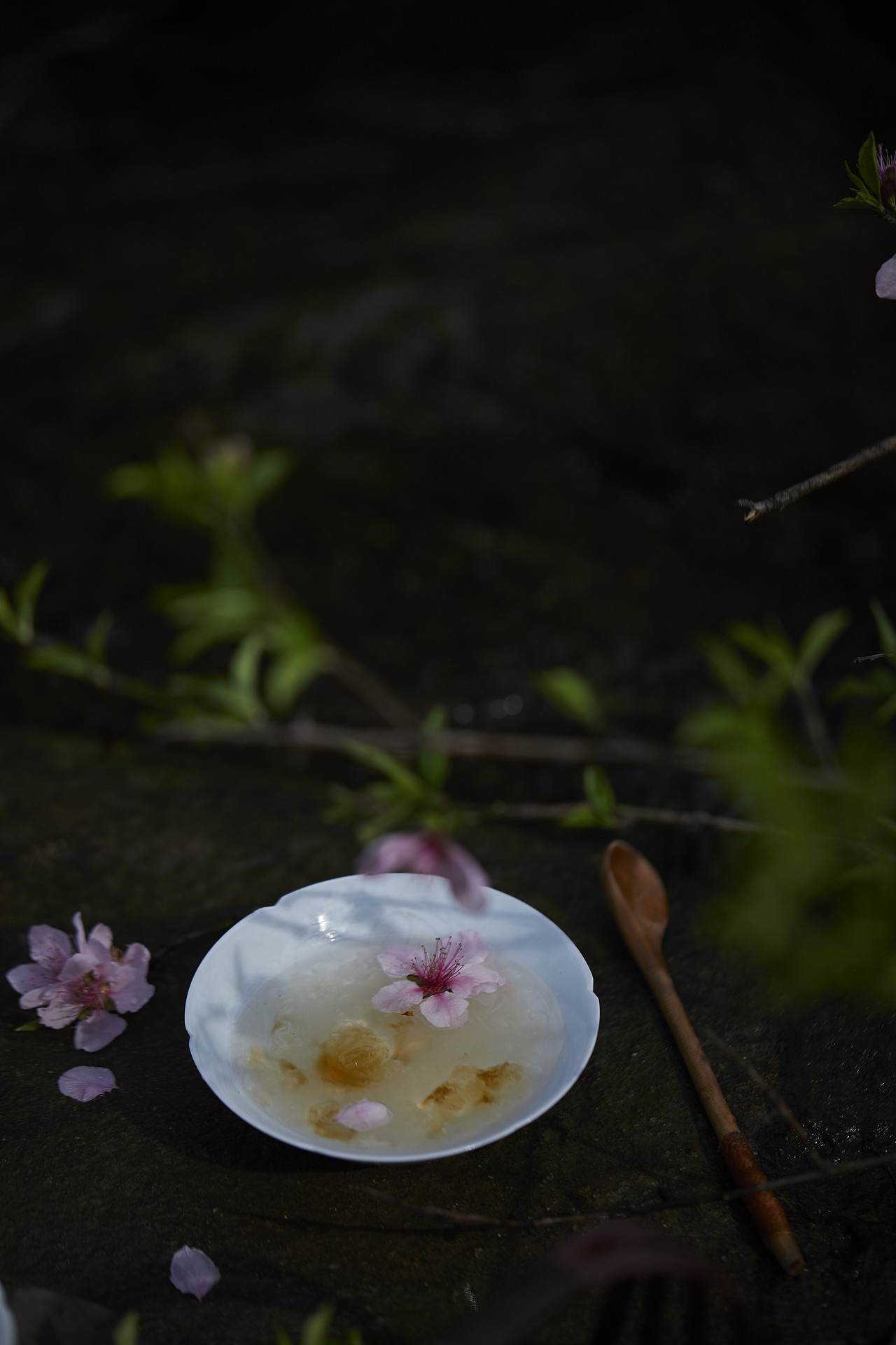 春。桃花宴（图ZMjk0MDExNTY4） - 美食摄影 - 站酷设计师梅食间原创素材 - 站酷ZCOOL