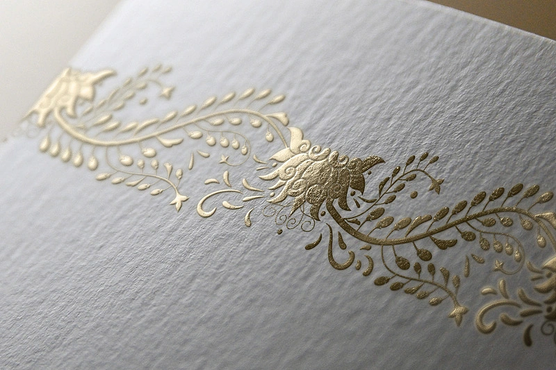 蜥奎设计∴西藏枸杞