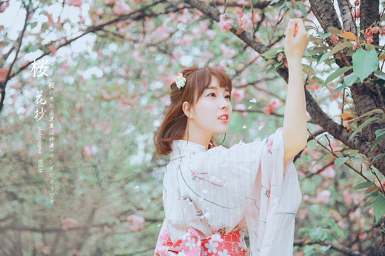 桜花抄_ROEMWO站酷ZCOOL