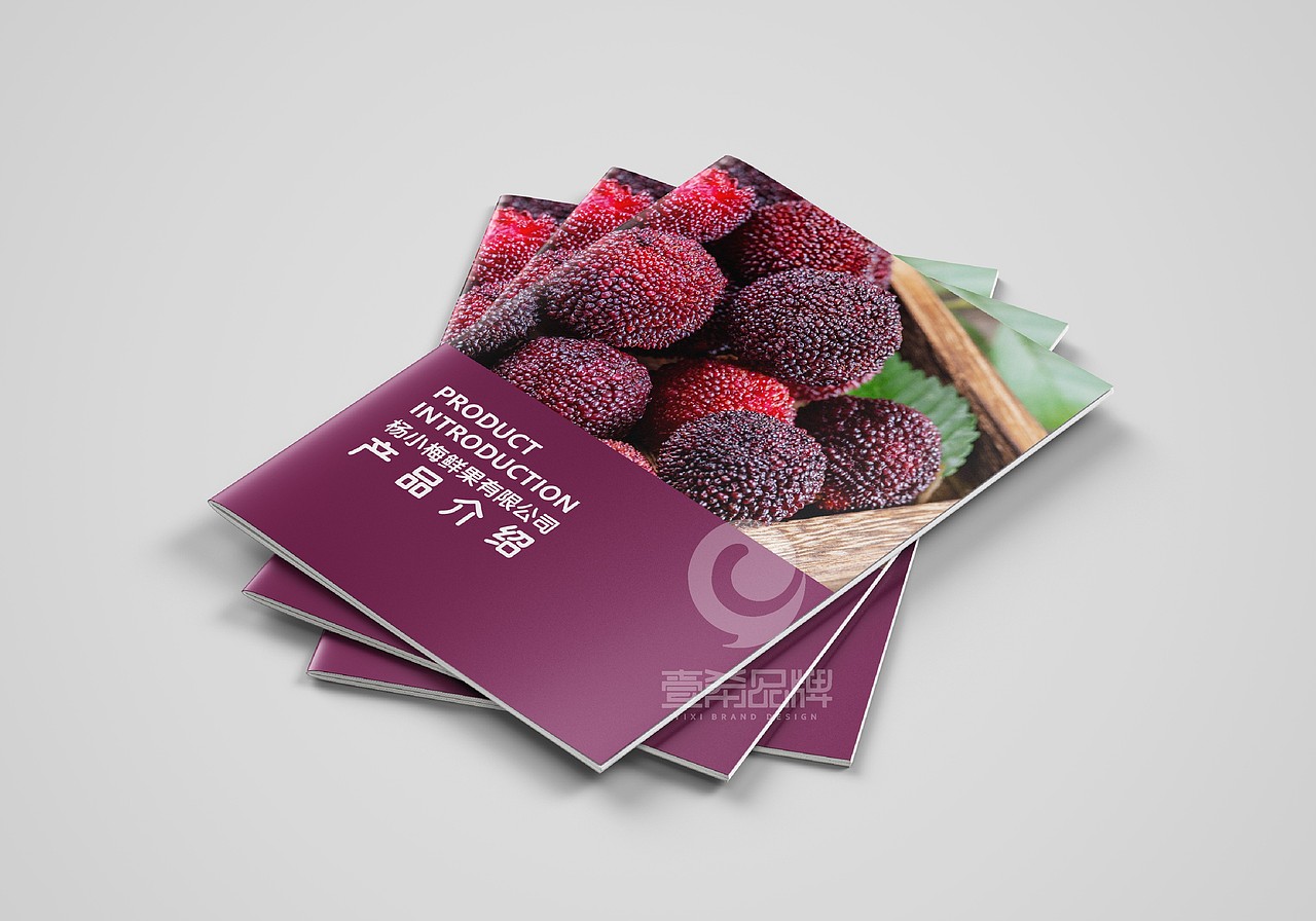 一希品牌设计--杨梅种植公司画册宣传册设计