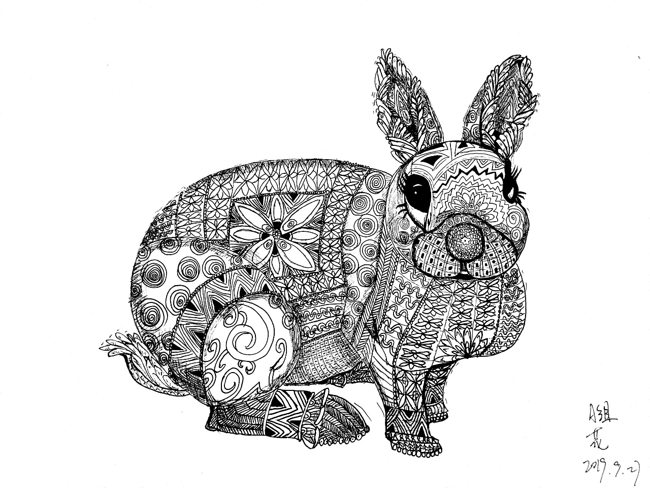 iPad手绘｜四个步骤 用 iPad 素描一只野兔|纯艺术|素描|费米野兔 - 原创作品 - 站酷 (ZCOOL)