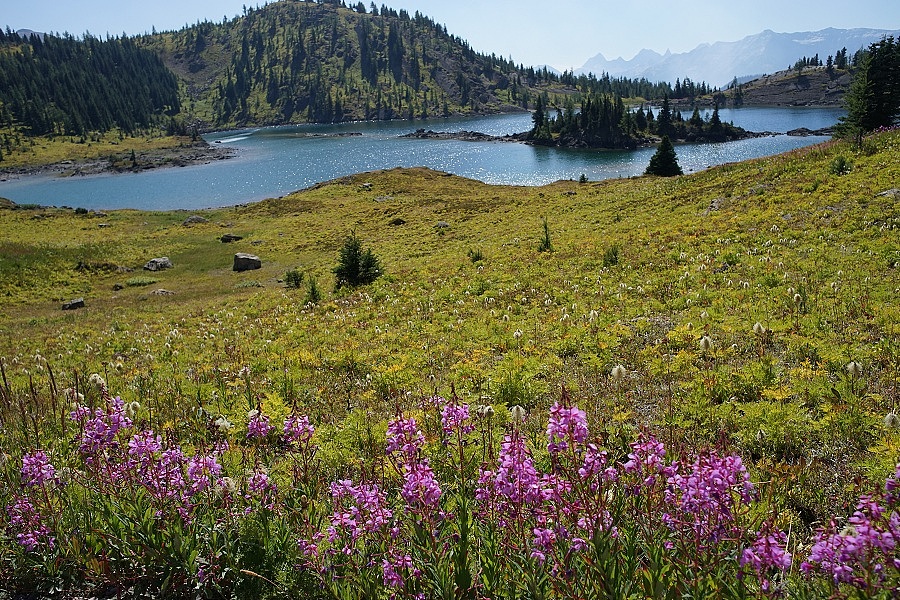 班夫著名的滑雪胜地, 夏季观光