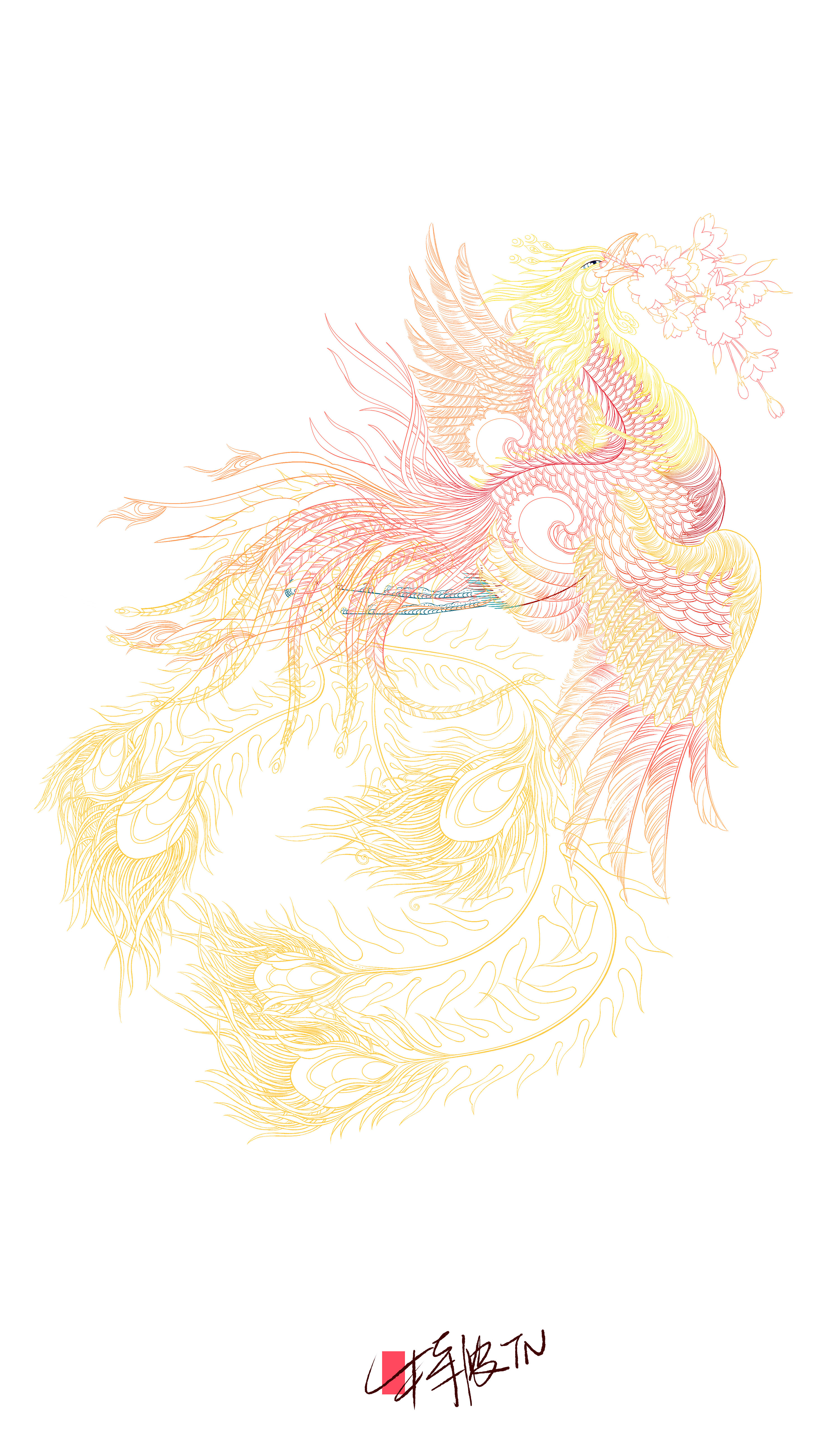 知水凤凰 |插画|创作习作|特浓tn - 原创作品 - 站酷 (zcool)