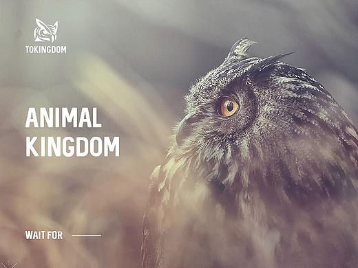 Animal kingdom -