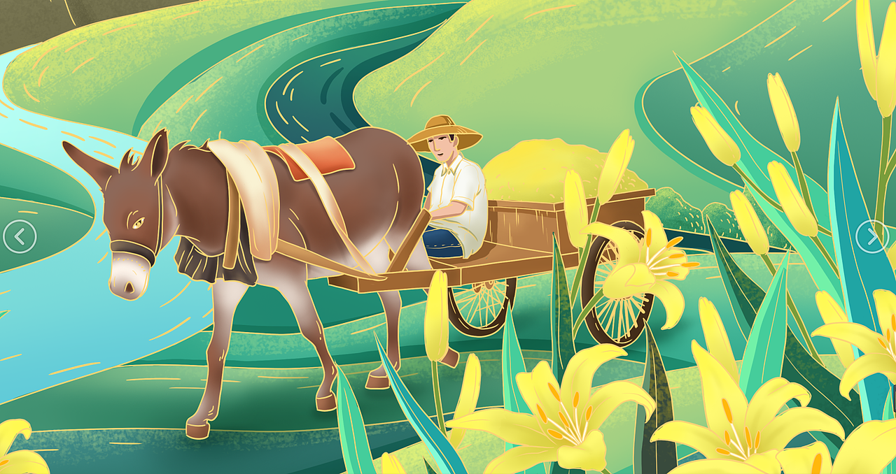 大同黄花菜包装设计插画包装设计