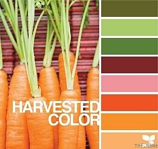 配色（图ZMTI1OTc4OTMy） - 其他 - 站酷设计师fengyuhann原创素材 - 站酷ZCOOL