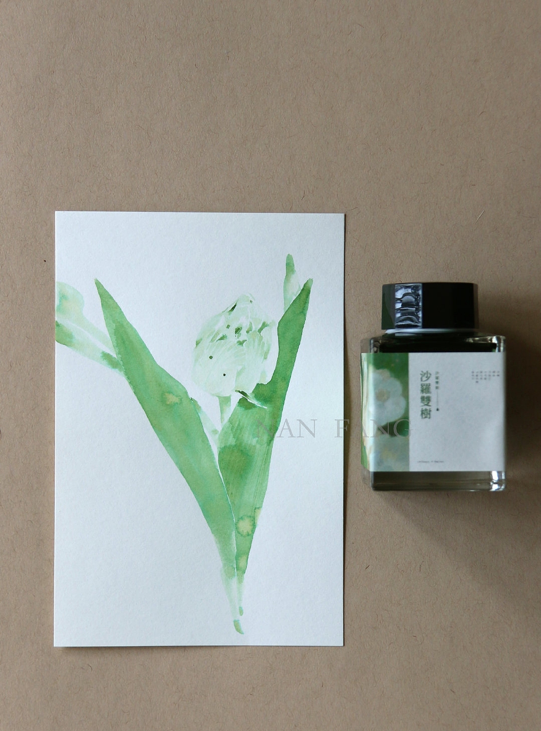 钢笔墨水手绘花卉插画绘画教程头像壁纸水彩教程古风（图ZMTcwMjU4OTc2） - 创作习作 - 站酷设计师熊猫胖哒原创素材 - 站酷ZCOOL