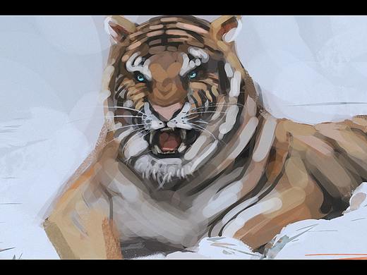 tiger速写10分钟