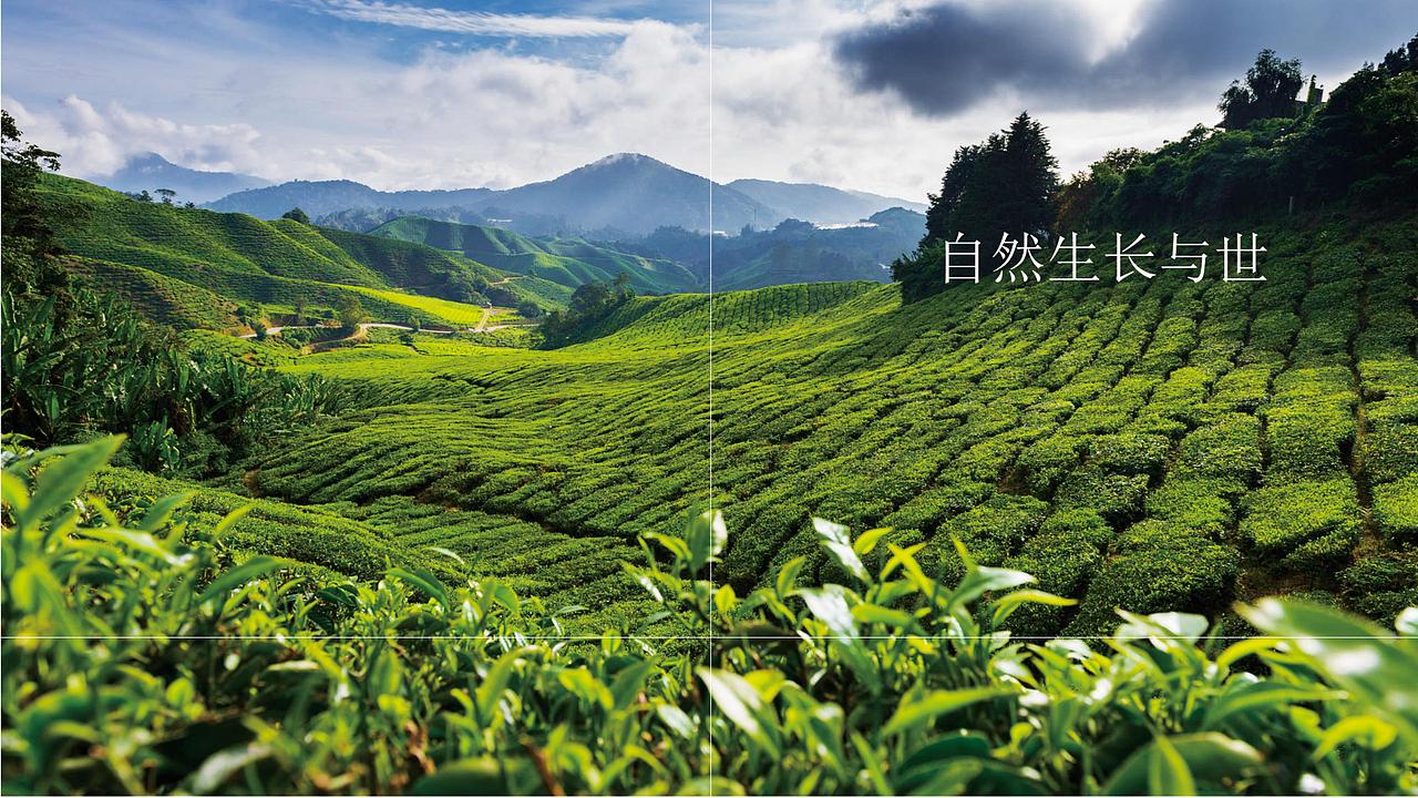 1821期学生个人作品展示07