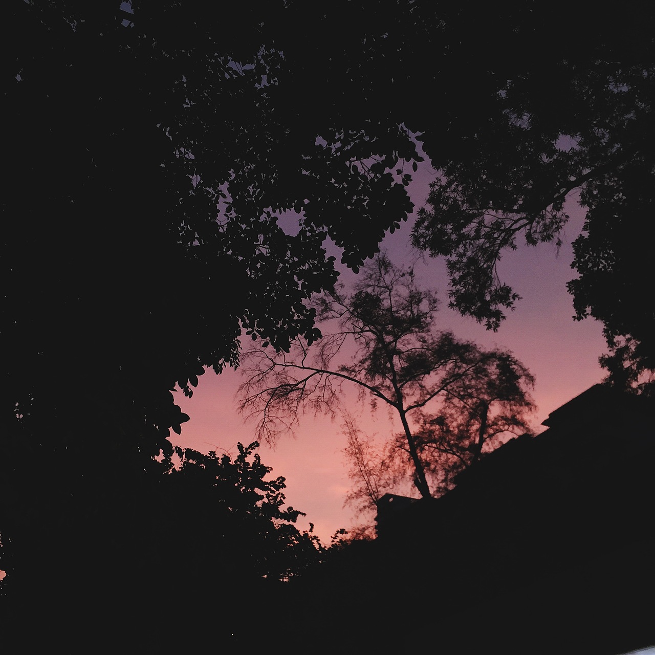 sky☁️（图ZMTM0Mjk3Nzg4） - 风光摄影 - 站酷设计师TamaruY原创素材 - 站酷ZCOOL