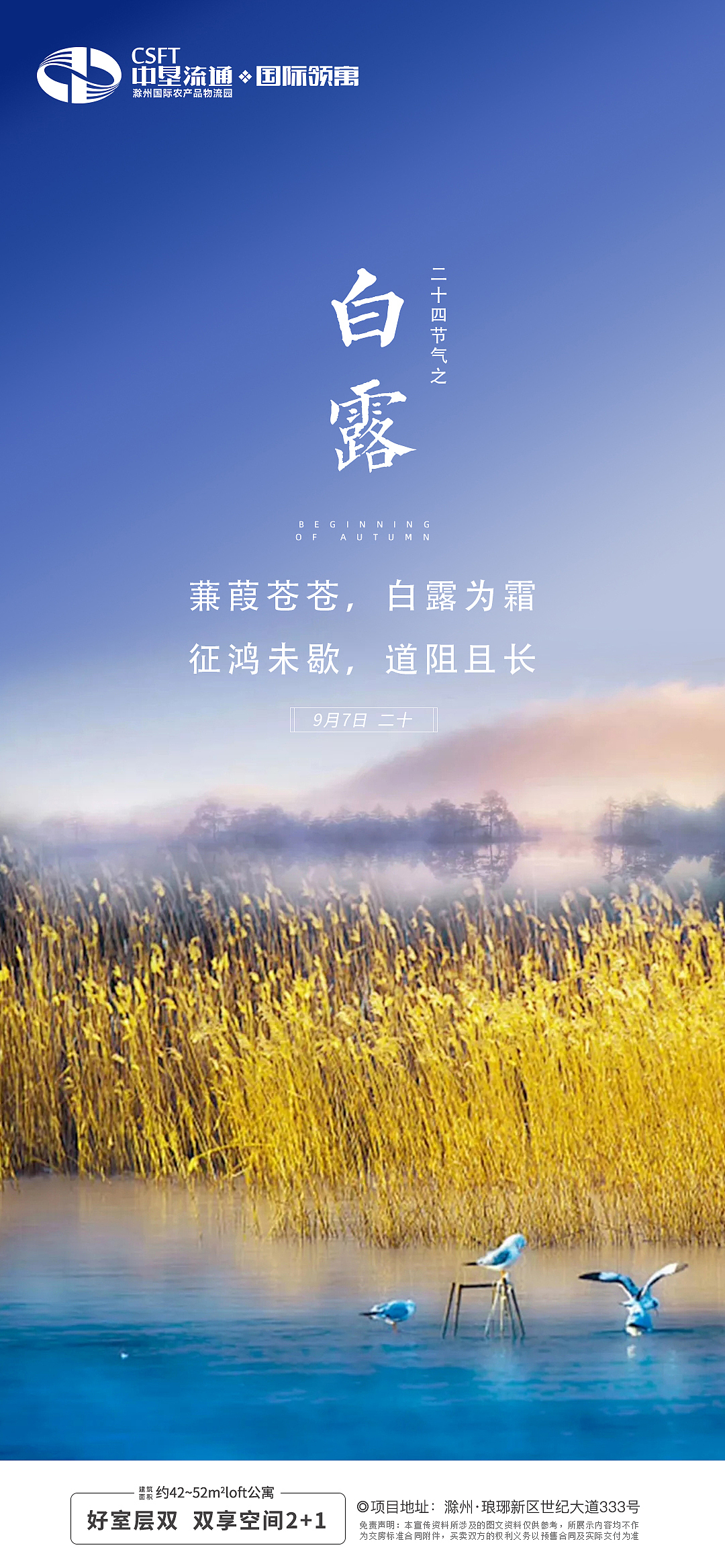 节气飞机稿