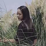 宋一斤的头像