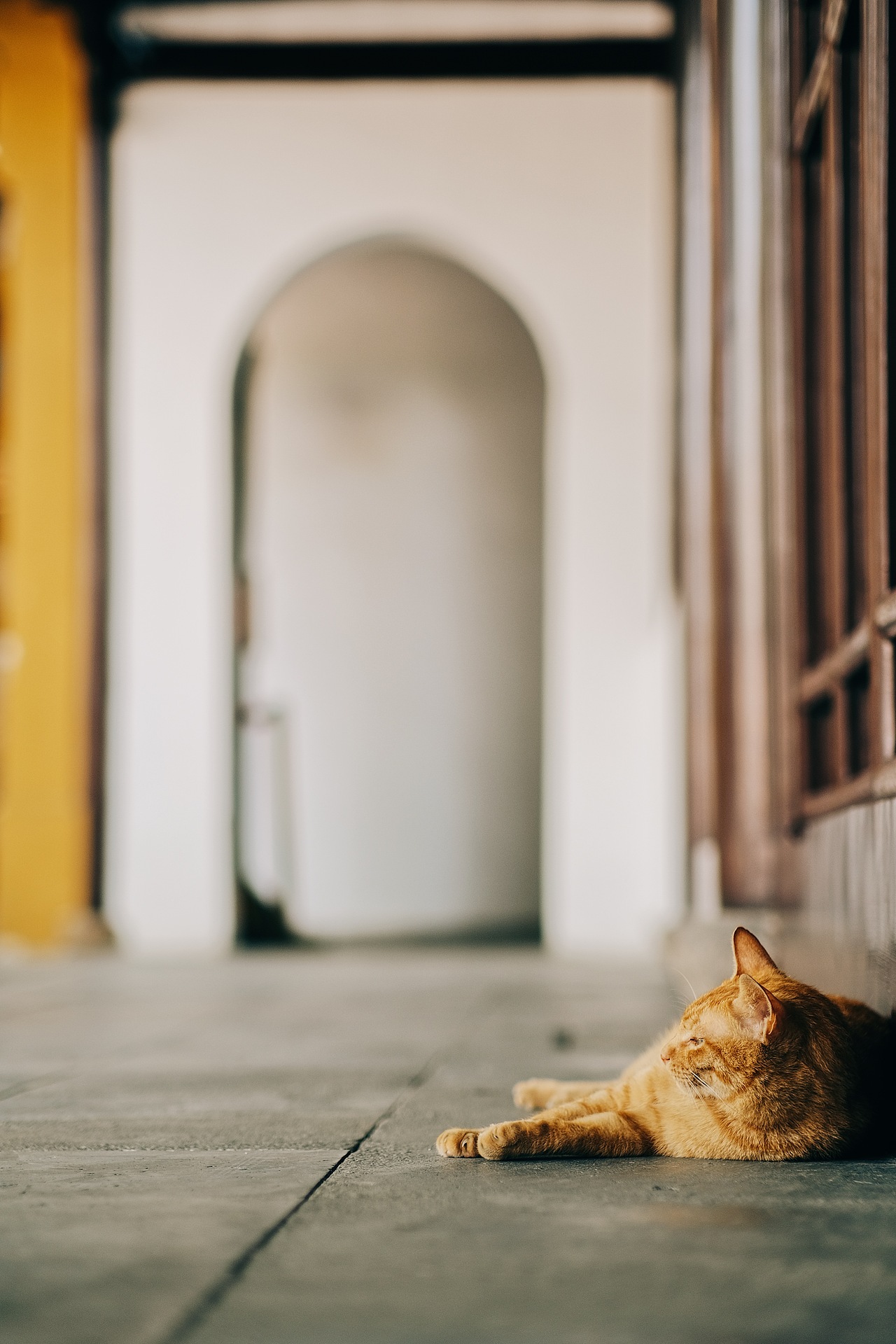 蘇州（图ZMzYxMjg2MDYw） - 风光摄影 - 站酷设计师摄影阿梁原创素材 - 站酷ZCOOL