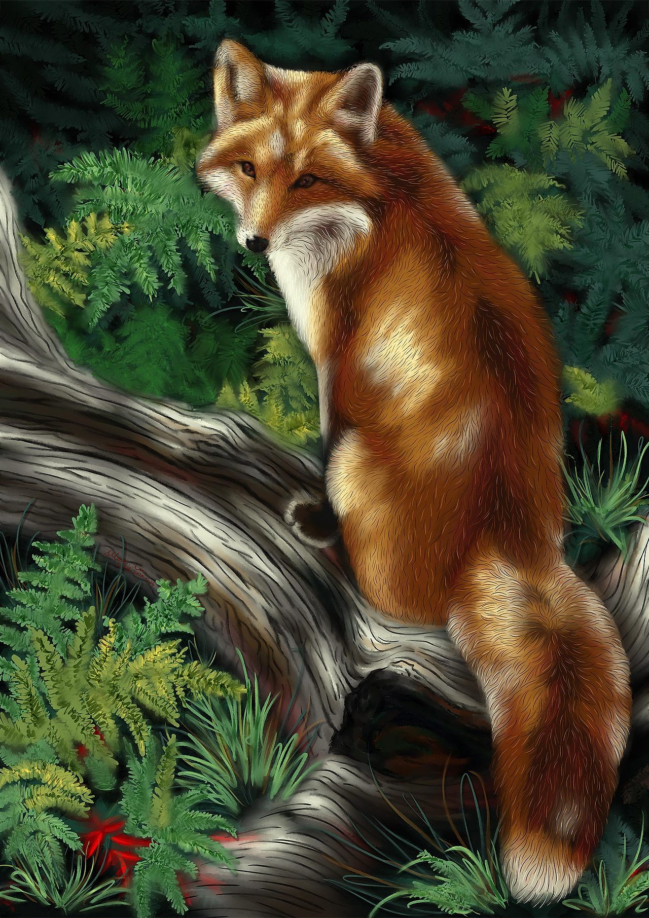 小狐狸之魅狐写实插画