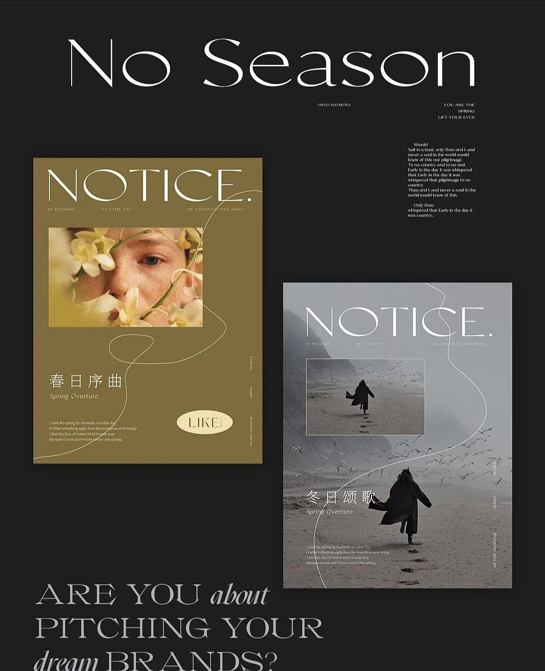 高端 简约 时尚 品牌设计作品