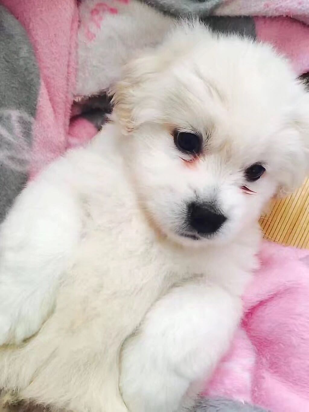 从娘家把你接回来的时候。。。