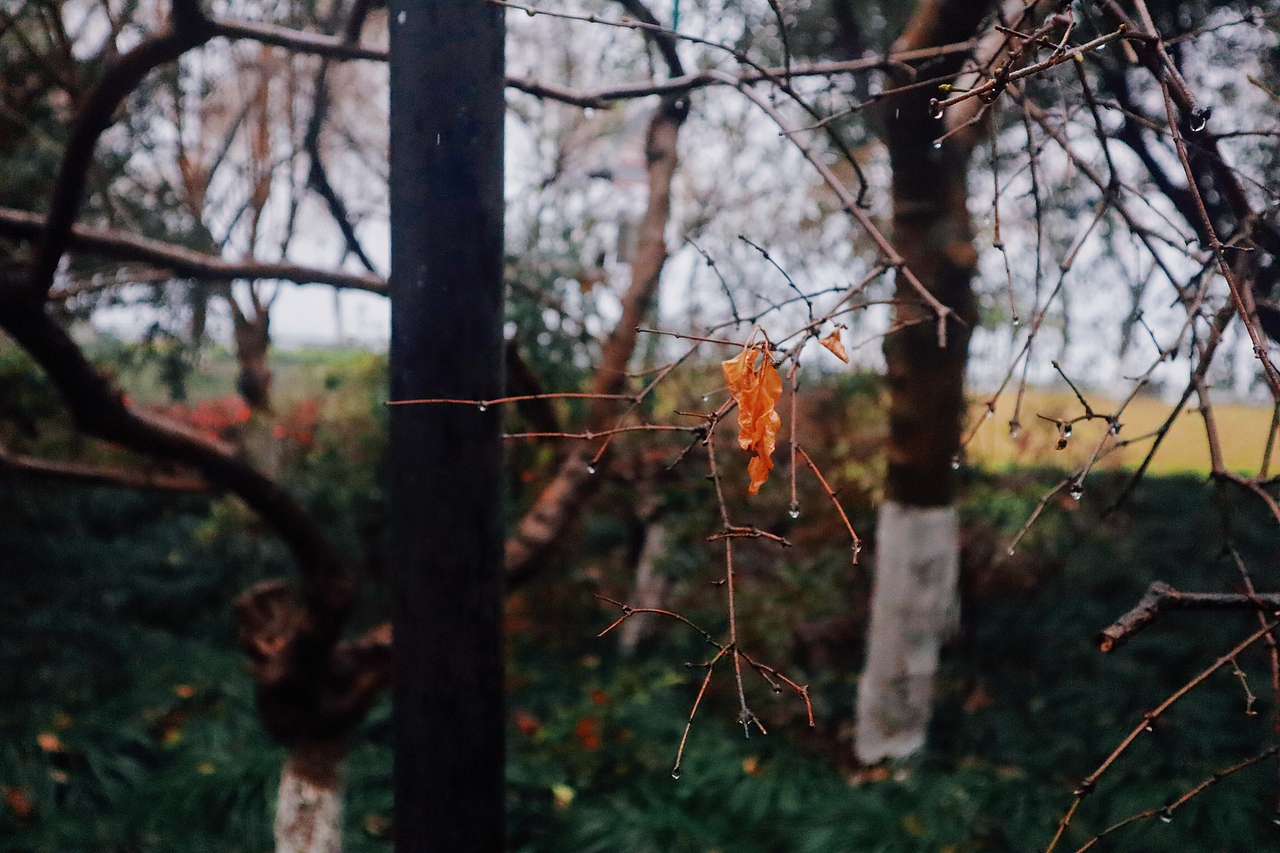 杭州西湖&凤起路