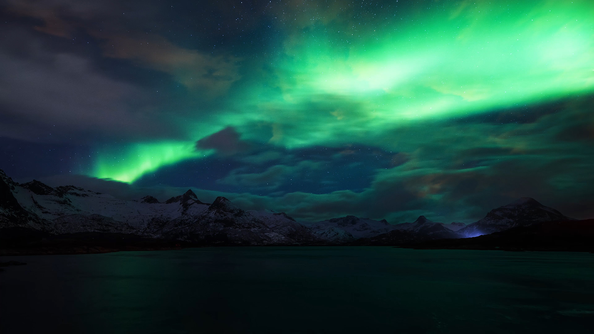 我家旺财呀的个人主页（封面预览） - 主页封面设置 - 站酷设计师我家旺财呀原创素材 - 站酷ZCOOL