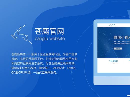 企业网站