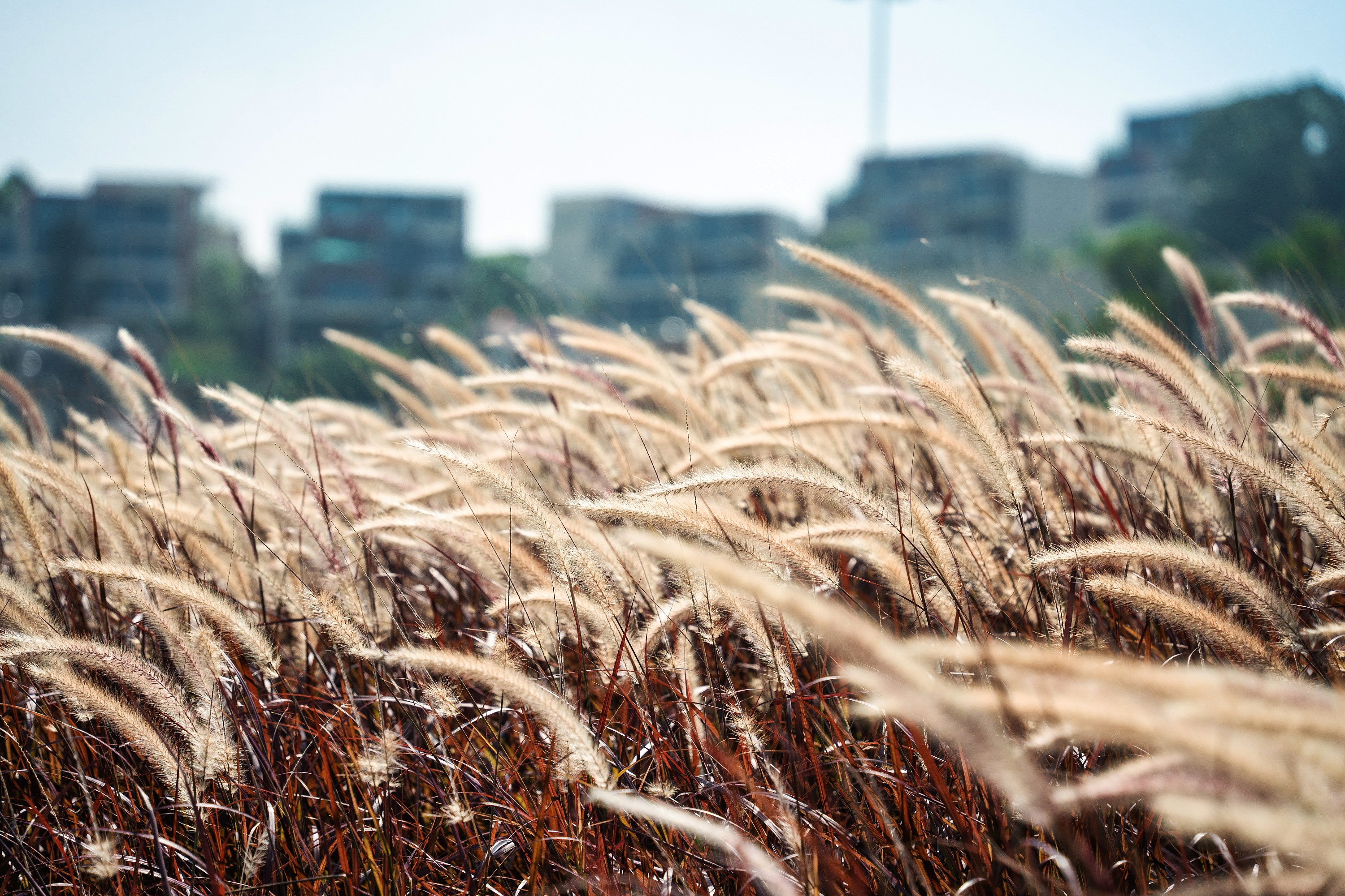 温雯尔雅_的个人主页（封面预览） - 主页封面设置 - 站酷设计师温雯尔雅_原创素材 - 站酷ZCOOL