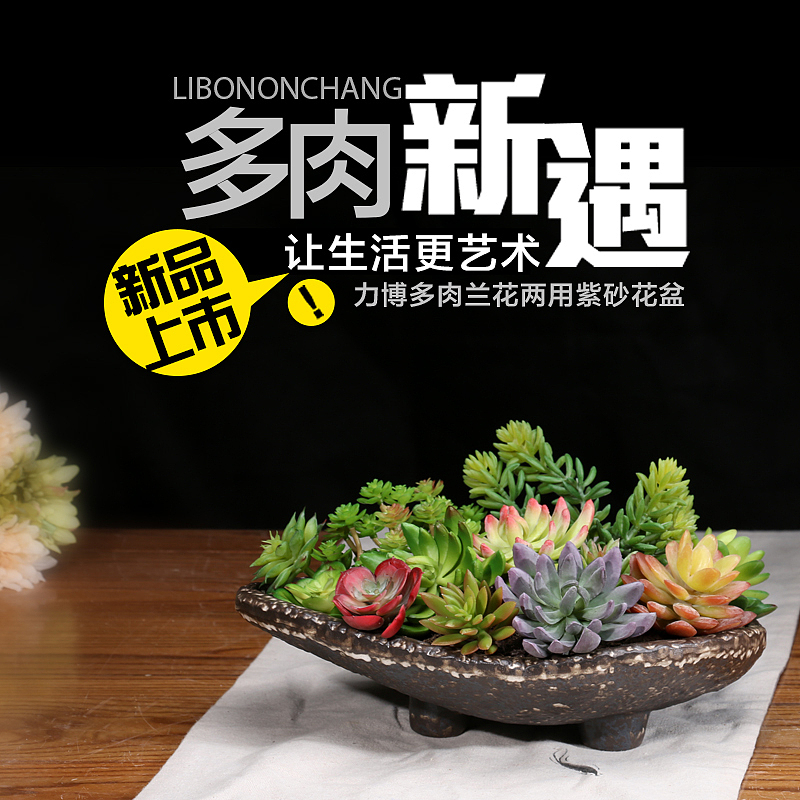 天猫京东淘宝多肉植物紫砂花盆主图（文字排版布局 海报设计 可参考）（图ZNTQzNzQ0NjA=） - 电商 - 站酷设计师田先生丶原创素材 - 站酷ZCOOL