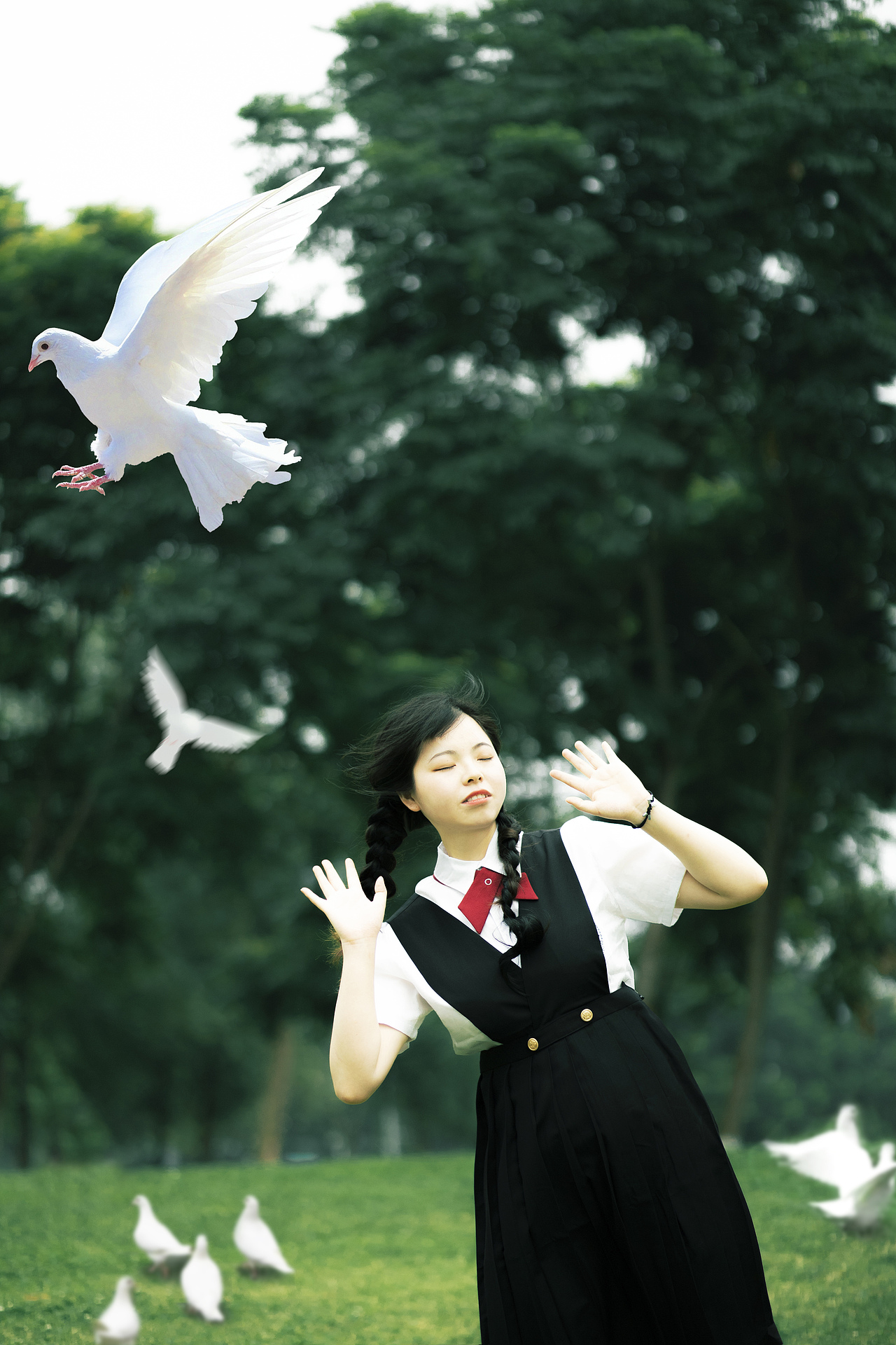 日系胶片,少女与鸽