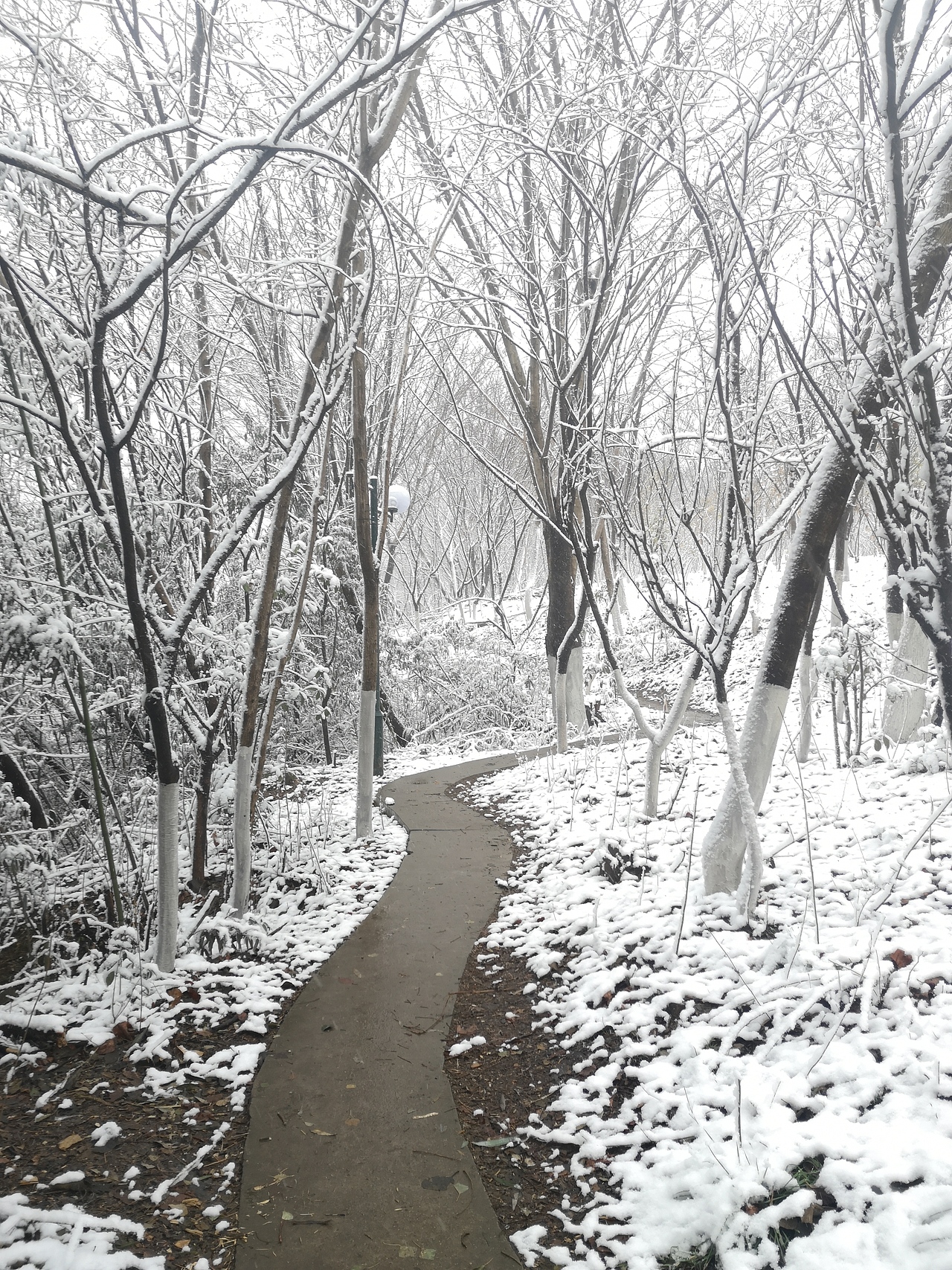 《冬》（图ZMjQxMTI4NDMy） - 风光摄影 - 站酷设计师Noahguo原创素材 - 站酷ZCOOL