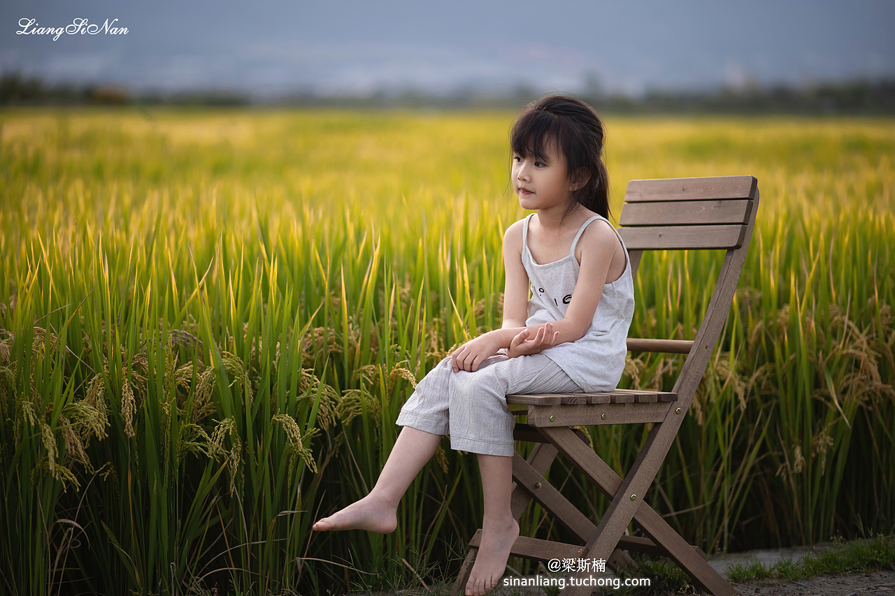 风,已经是秋天的味道了呢!