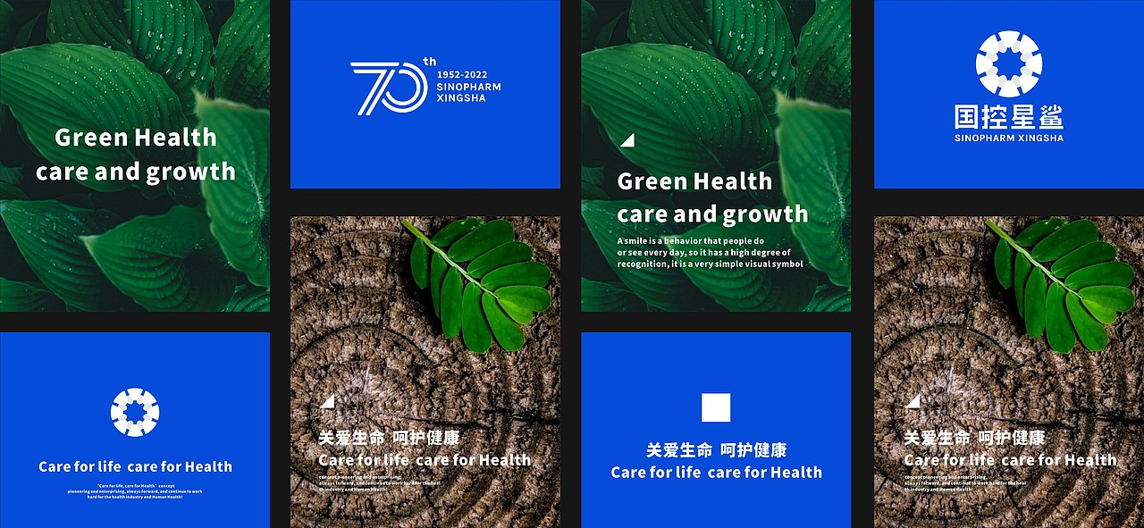 LOGO设计 | 国控星鲨LOGO&会徽设计