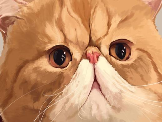 阿璐儿的费列罗