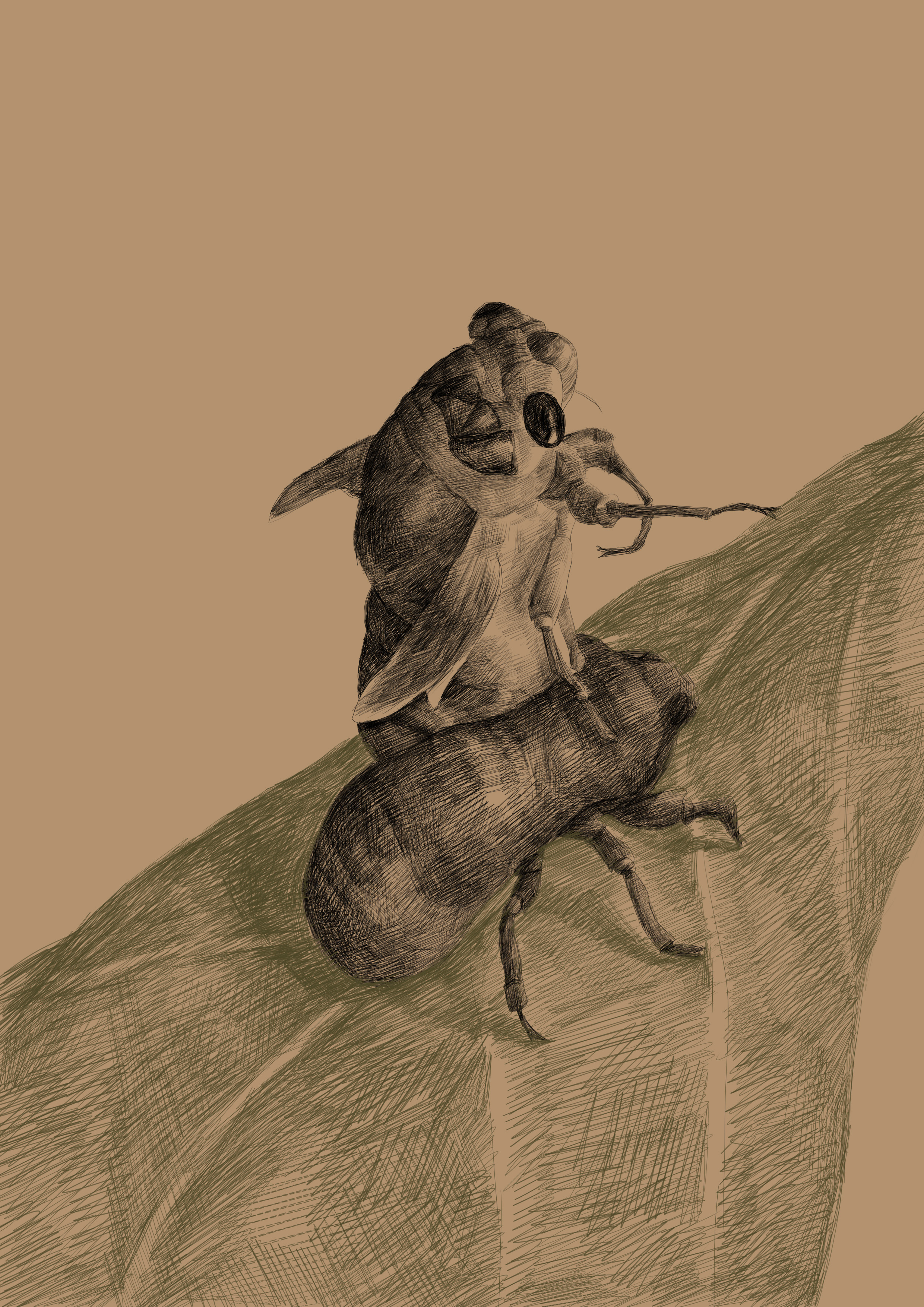 蝉|插画|商业插画|张敏哈哈 - 原创作品 - 站酷 (zcool)