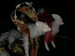 三尾福狸