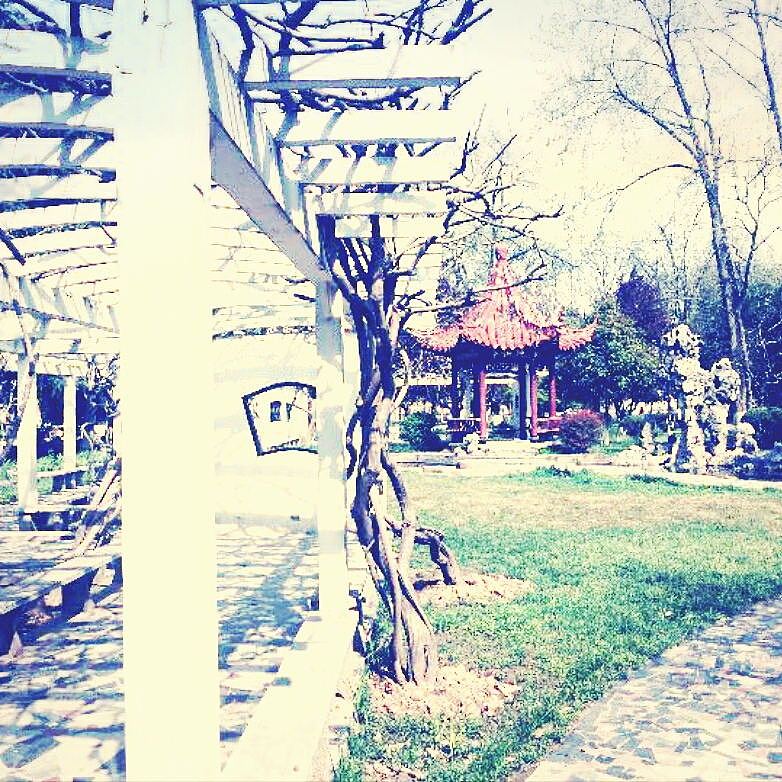 那一年，我的校园，我们的月亮岛