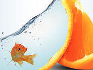 燈泡魚設(shè)計#平面設(shè)計（個人主頁-ZMjU0ODIxOTI=） - 圖案 - 站酷設(shè)計師咖啡美少女原創(chuàng)素材 - 站酷ZCOOL