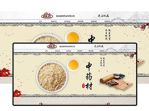 盘龙电商项目页面