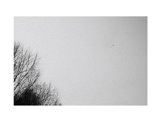 Monochrome dream