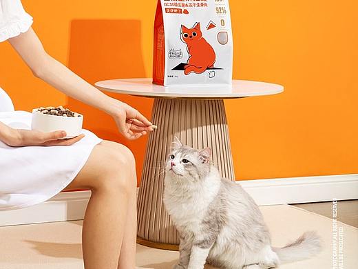 宠物猫粮
