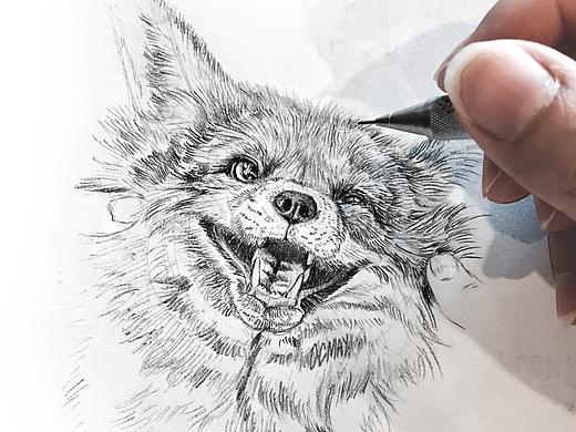 手绘素描 - 动物系列