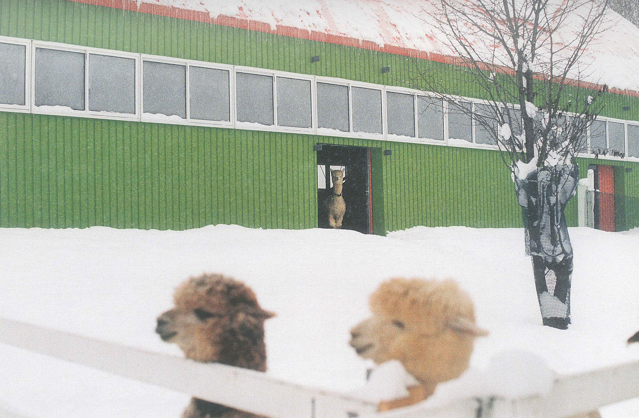 十二月十五日天气晴零下五度 ​​​​（图ZMTQwNzM1MTg0） - 人像摄影 - 站酷设计师NiccoCai原创素材 - 站酷ZCOOL