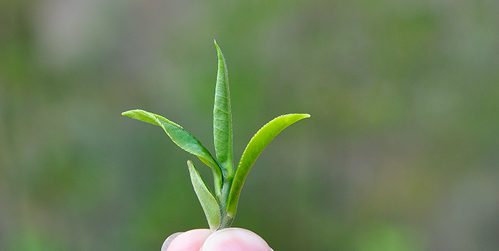 aaai的个人主页（封面预览） - 主页封面设置 - 站酷设计师aaai原创素材 - 站酷ZCOOL