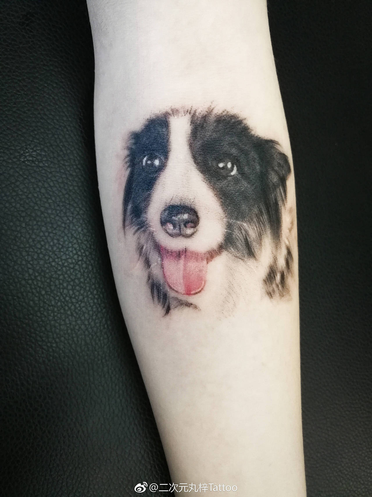 狗头纹身图案图片
