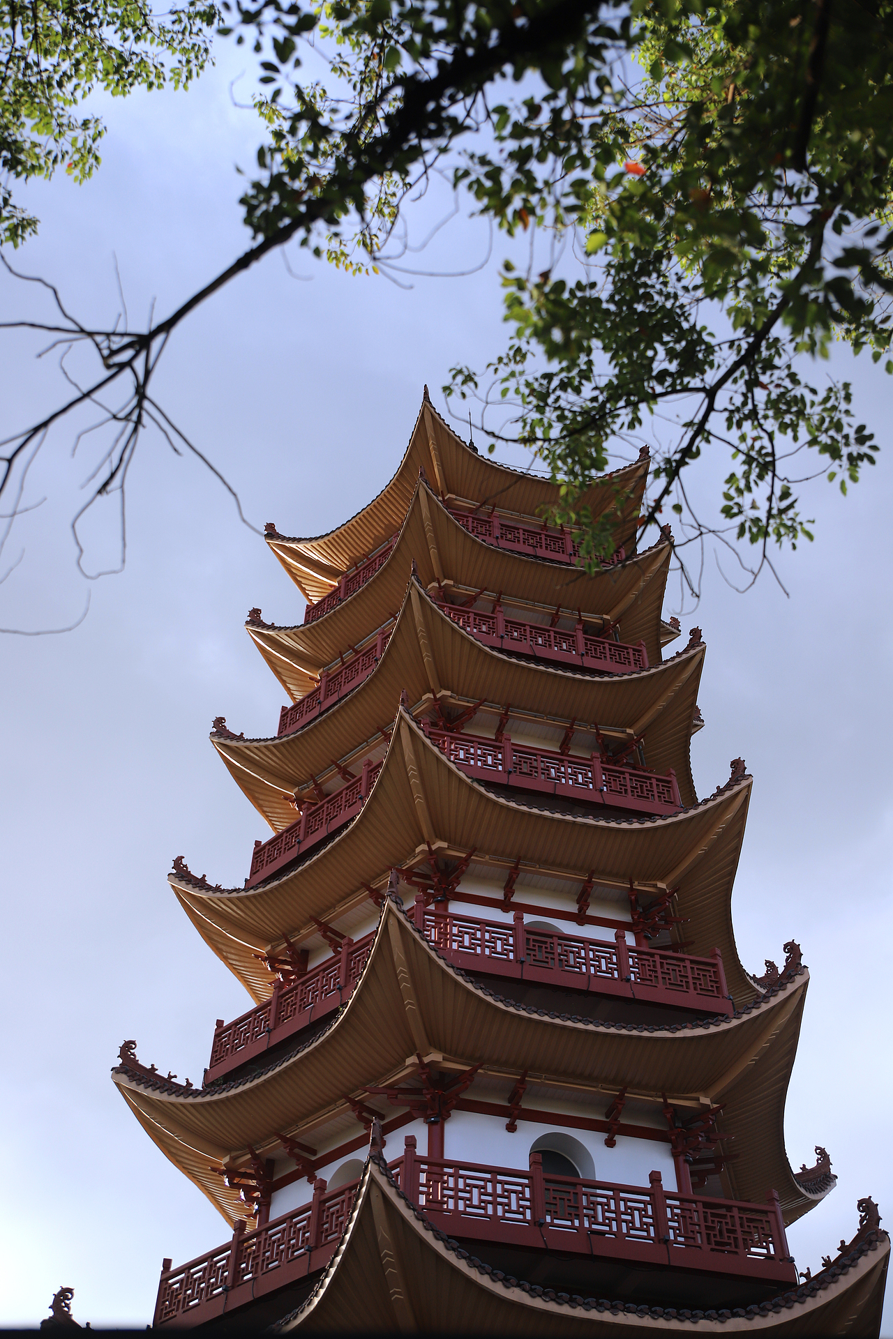 福鼎普光寺和太阳阁