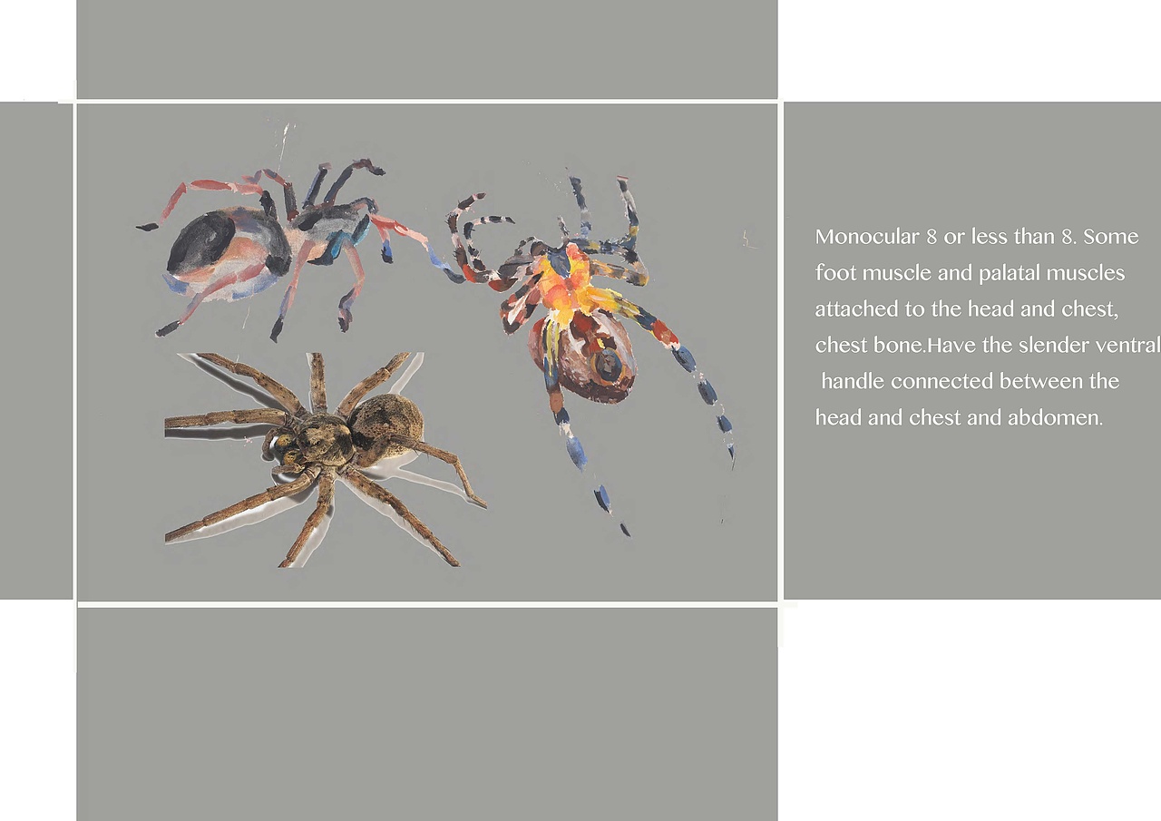 手绘作品（图ZOTA4MjkyMjA=） - 绘画 - 站酷设计师梁蒲钰原创素材 - 站酷ZCOOL