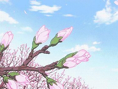 春暖花开，跟白岫老师一起学画花~