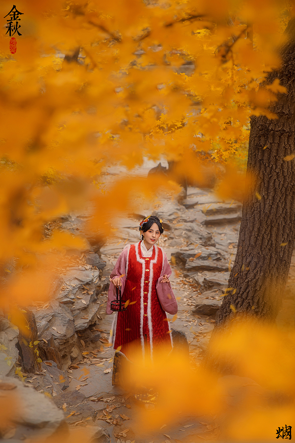 金秋